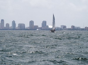 Tampa Bay Marathon Swim-143