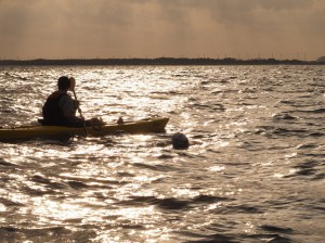 24 mile Tampa Bay Swim Marathon Solo Swim